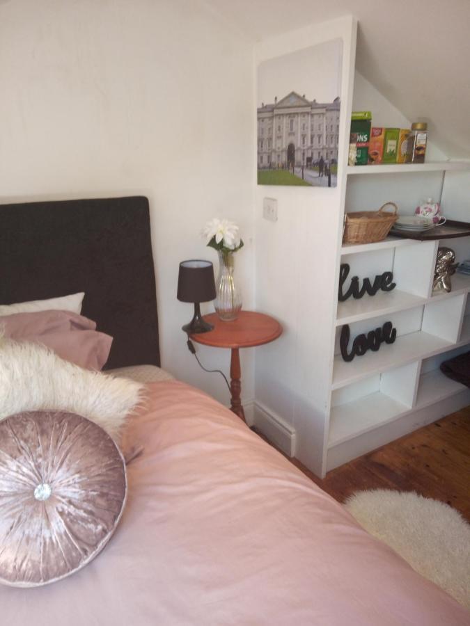 A Cosy Dublin Room Zewnętrze zdjęcie